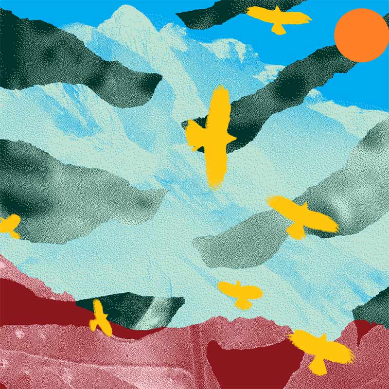 Fendant orange AOC 2024